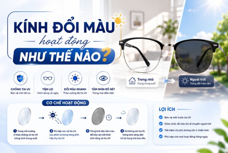 KINH DOI MAU HOAT DONG NHU THE NAO